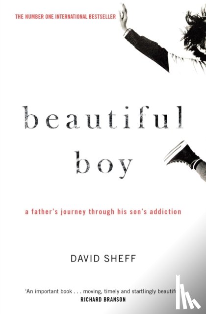 Sheff, David - Beautiful Boy