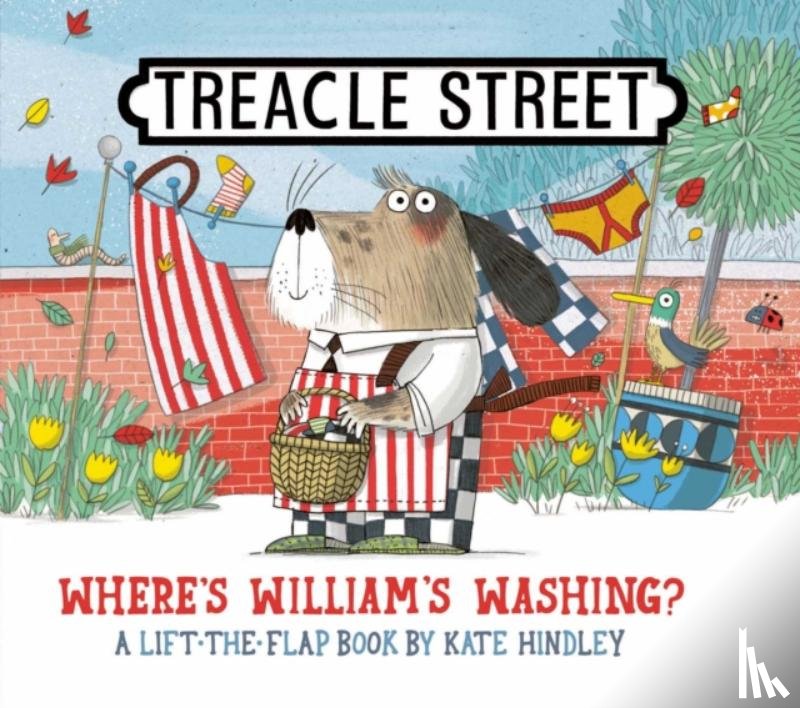 Hindley, Kate - Where's William's Washing?