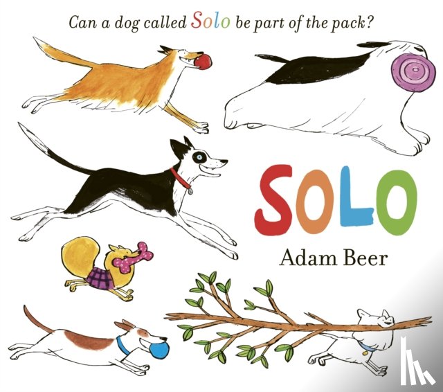Beer, Adam - Solo