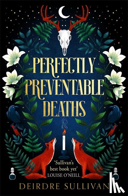 Sullivan, Deirdre - Perfectly Preventable Deaths