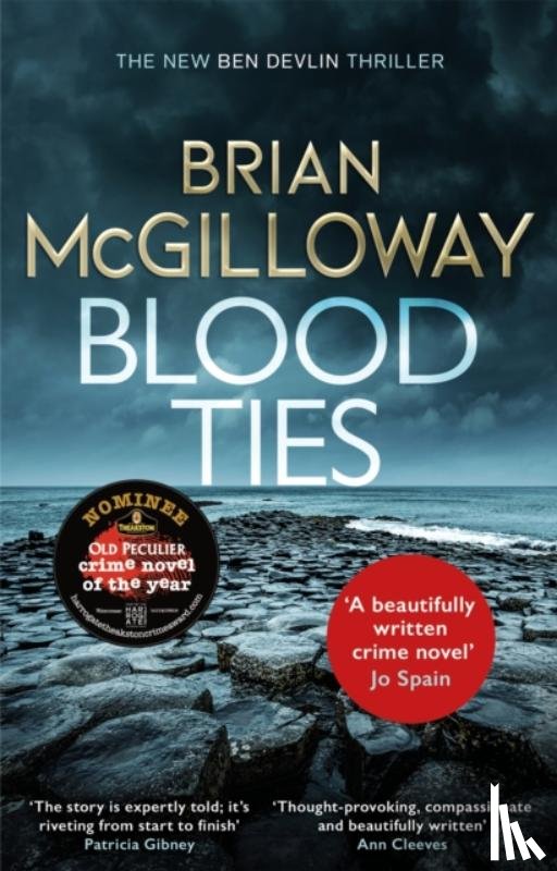 McGilloway, Brian - Blood Ties