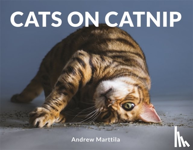 Marttila, Andrew - Cats on Catnip