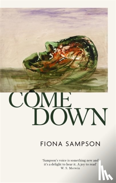 Sampson, Fiona - Come Down