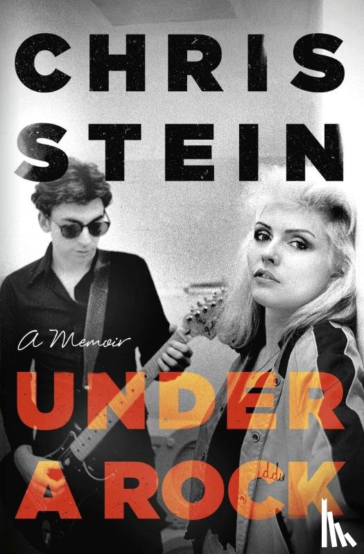Stein, Chris - Under A Rock