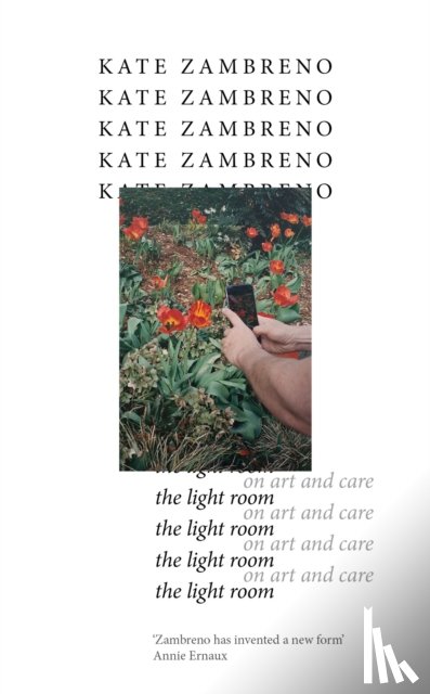 Zambreno, Kate - The Light Room