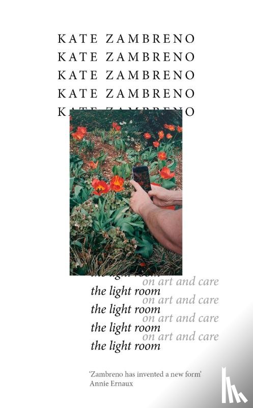Zambreno, Kate - The Light Room
