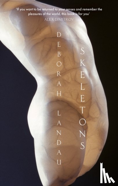 Landau, Deborah - Skeletons