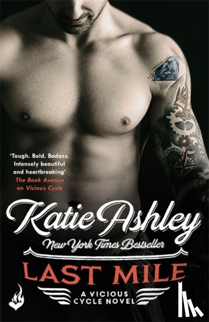 Ashley, Katie - Last Mile: Vicious Cycle 3