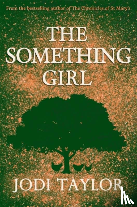 Taylor, Jodi - The Something Girl