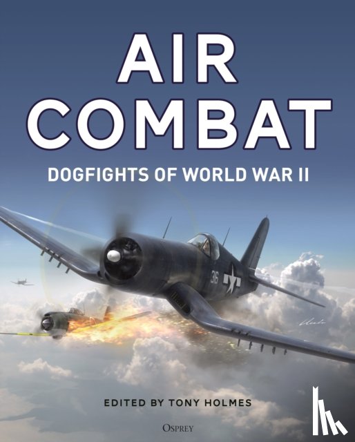 Khazanov, Dmitriy, Medved, Aleksander, Young, Edward M., Holmes, Tony (Editor) - Air Combat