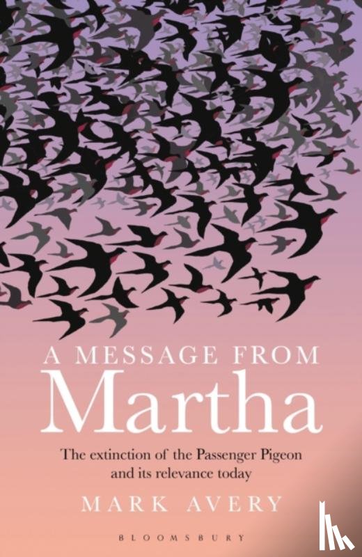 Avery, Mark - A Message from Martha