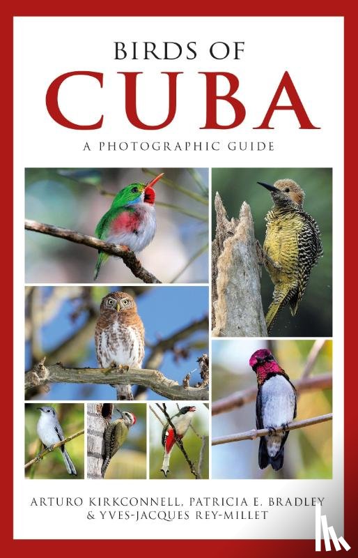 Kirkconnell, Arturo, Bradley, Patricia E., Rey-Millet, Yves-Jacques - Photographic Guide to the Birds of Cuba