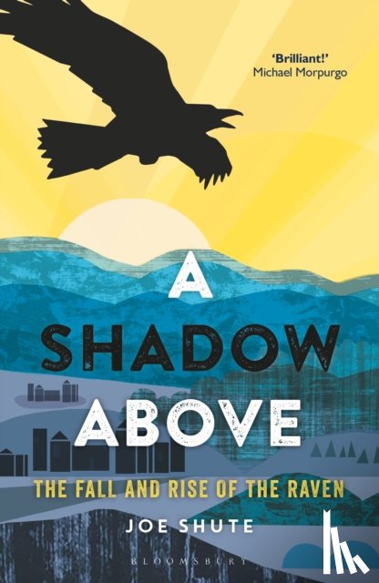 Shute, Joe - A Shadow Above