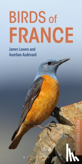 Lowen, James, Audevard, Aurelien - Birds of France