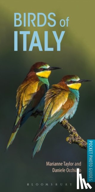 Taylor, Ms Marianne, Occhiato, Daniele - Birds of Italy