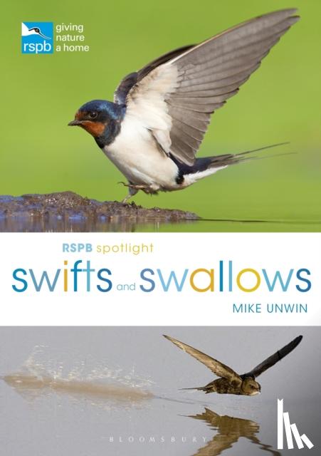 Unwin, Mike - RSPB Spotlight Swifts and Swallows