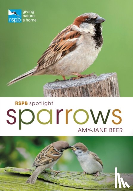 Beer, Amy-Jane - RSPB Spotlight Sparrows