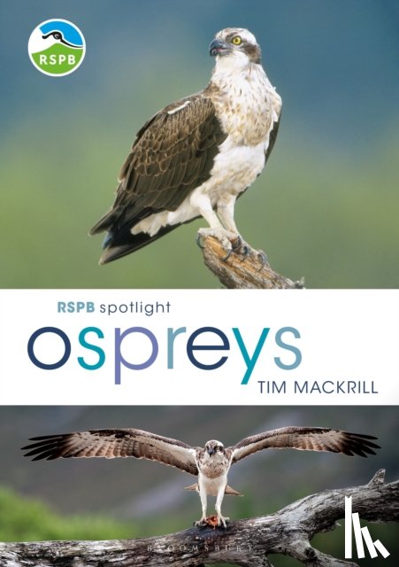 Mackrill, Tim (Author) - RSPB Spotlight Ospreys