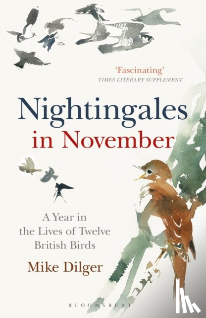 Dilger, Mike - Nightingales in November