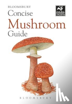 Bloomsbury - Concise Mushroom Guide