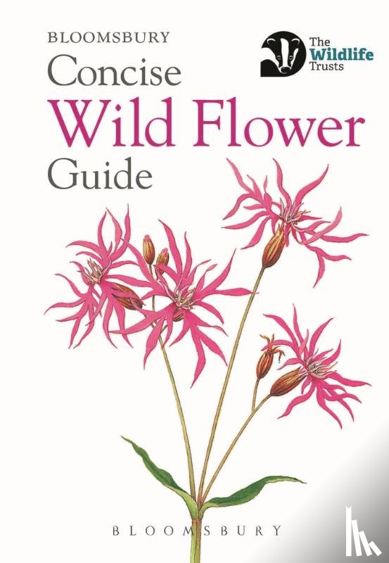 Bloomsbury - Concise Wild Flower Guide