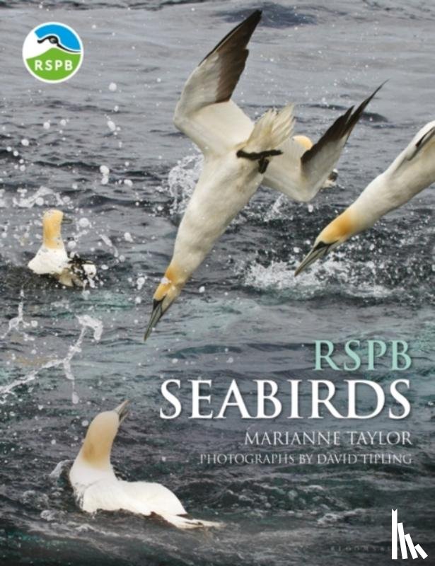 Taylor, Marianne - RSPB Seabirds