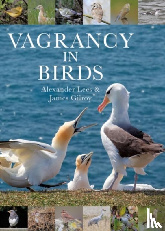 Lees, Dr Alexander, Gilroy, Dr James - Vagrancy in Birds