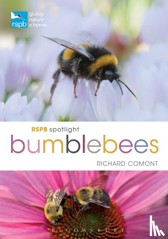 Comont, Richard - RSPB Spotlight Bumblebees