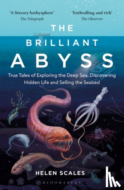 Scales, Helen - The Brilliant Abyss