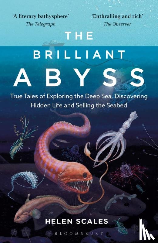 Scales, Helen - The Brilliant Abyss