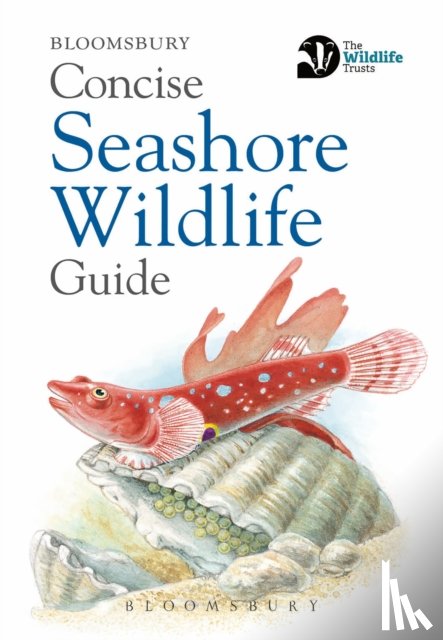 Bloomsbury - Concise Seashore Wildlife Guide
