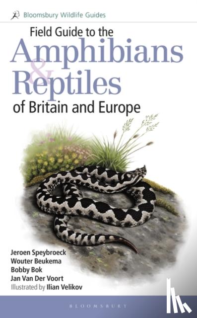 Speybroeck, Jeroen, Beukema, Wouter, Bok, Bobby, Van Der Voort, Jan - Field Guide to the Amphibians and Reptiles of Britain and Europe