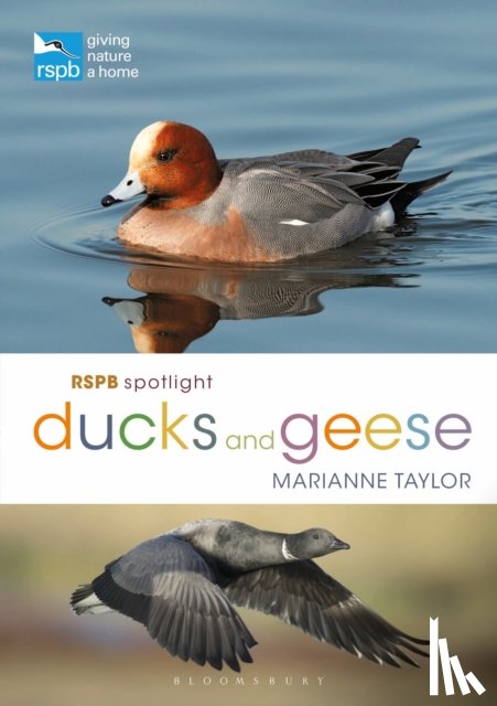 Taylor, Marianne - RSPB Spotlight Ducks and Geese