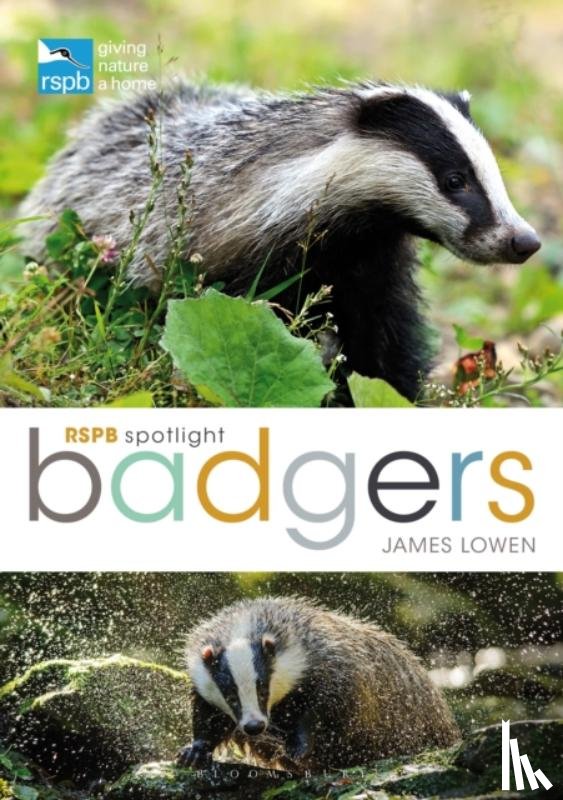 Lowen, James - RSPB Spotlight: Badgers