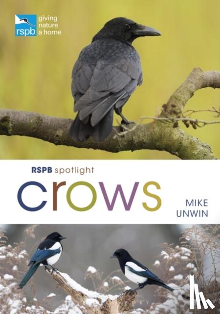 Unwin, Mike - RSPB Spotlight Crows