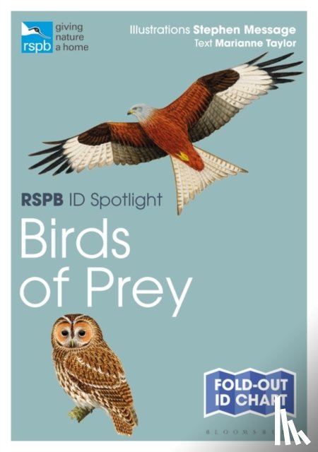 Taylor, Marianne - RSPB ID Spotlight - Birds of Prey