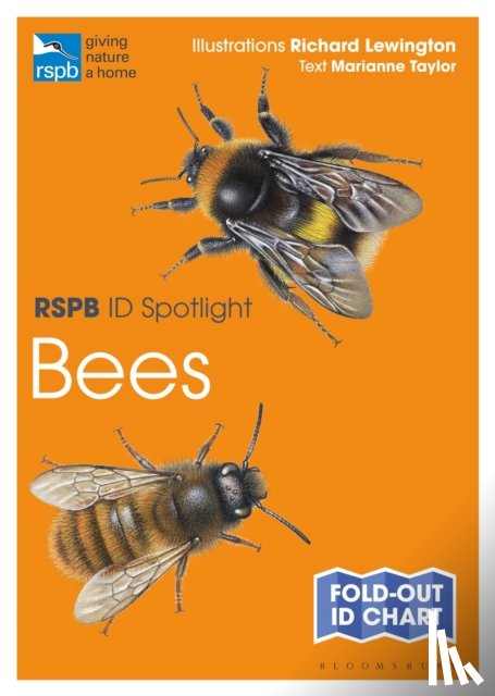 Taylor, Marianne - RSPB ID Spotlight - Bees