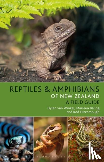 Winkel, Dylan van, Baling, Marleen, Hitchmough, Rod - Reptiles and Amphibians of New Zealand