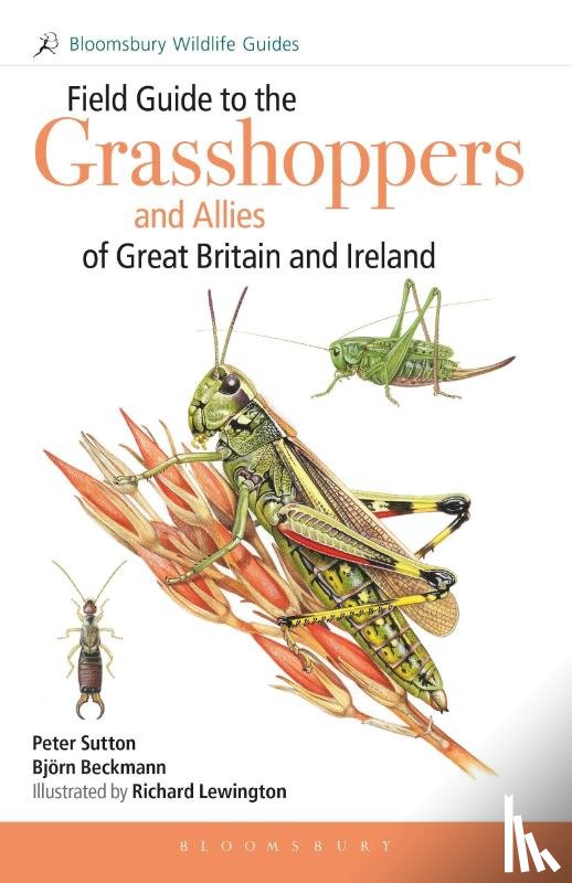 Sutton, Peter, Beckmann, Dr Bjorn - Field Guide to the Grasshoppers and Allies of Great Britain and Ireland