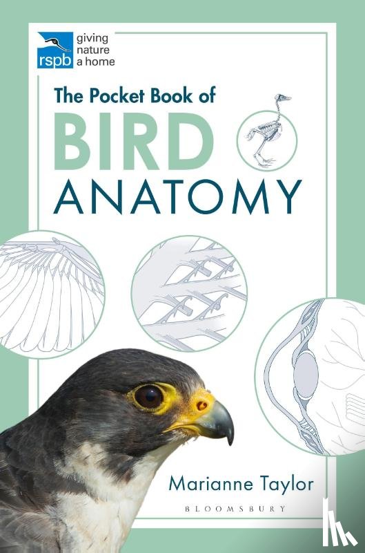 Taylor, Marianne - The Pocket Book of Bird Anatomy