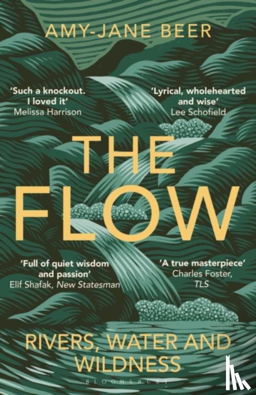 Beer, Amy-Jane - The Flow