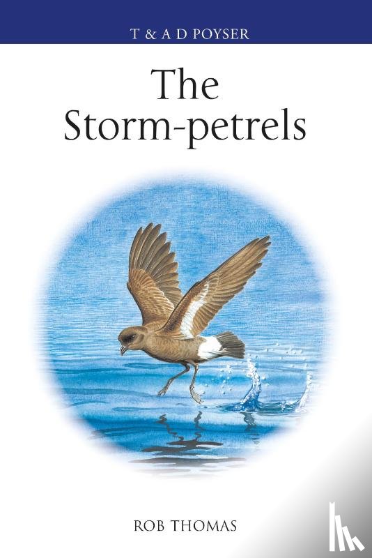 Thomas, Rob - The Storm-petrels