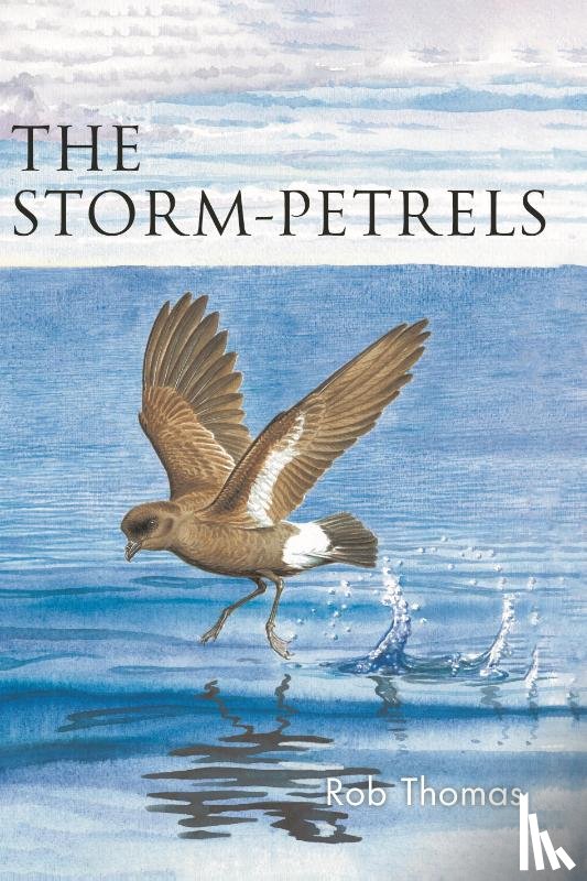 Thomas, Rob - The Storm-petrels