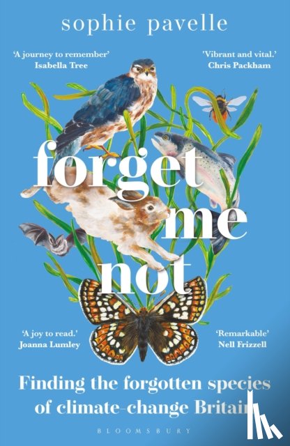 Pavelle, Sophie - Forget Me Not