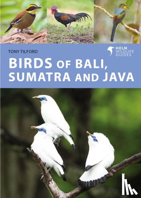 Tilford, Tony - Birds of Bali, Sumatra and Java