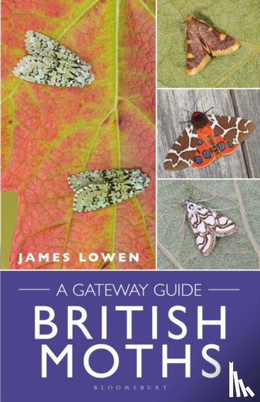 Lowen, James - British Moths