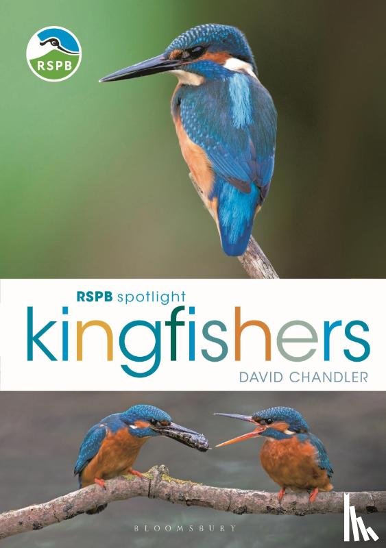 Chandler, David (Author) - RSPB Spotlight Kingfishers