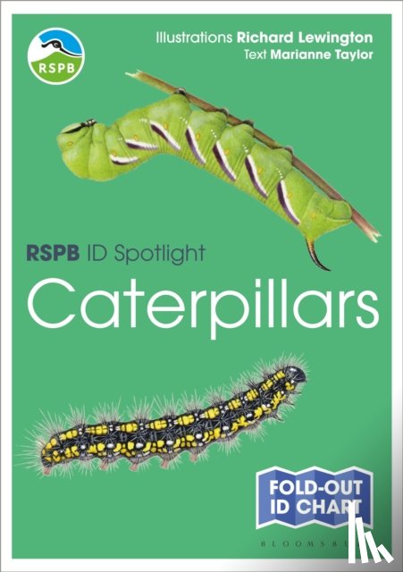 Taylor, Marianne - RSPB ID Spotlight - Caterpillars