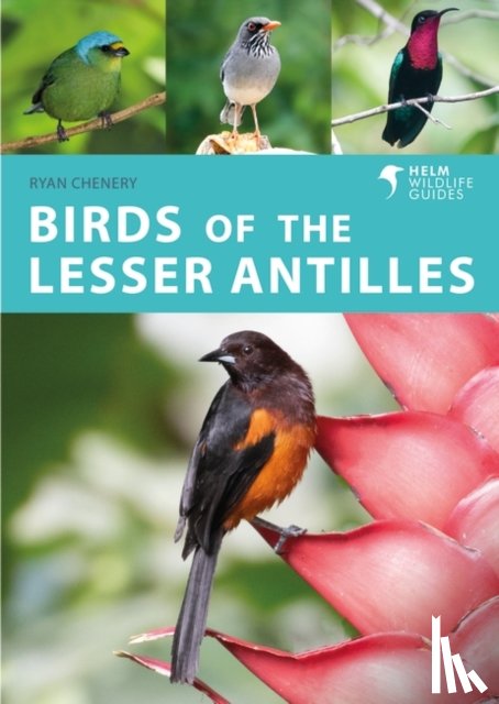 Chenery, Ryan - Birds of the Lesser Antilles