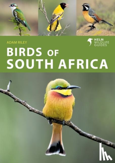 Riley, Adam - Birds of South Africa
